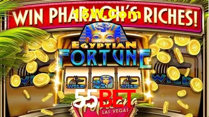 Experiência VIP 55Bet